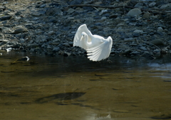 こんなポーズ、どう？