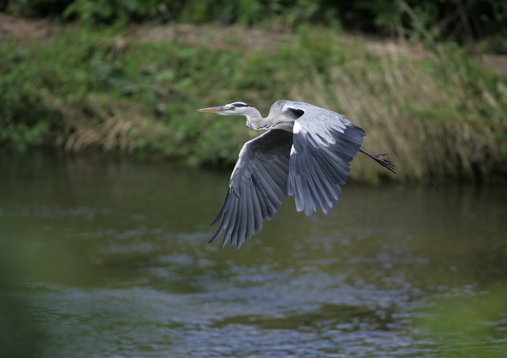 7.飛び立つ・・・