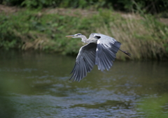 7.飛び立つ・・・