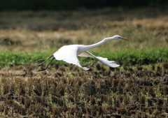 3.飛ぶ・・・②