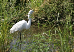 7.あぁ～、さよならぁ～・・・