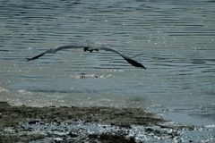 平和な時間・・・