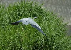 背を向けられた・・・