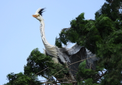 素敵な横顔・・・