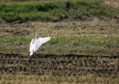 1.着地から・・・