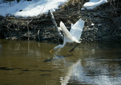 それは何のポーズ？