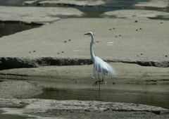 スタイリッシュ・・・②