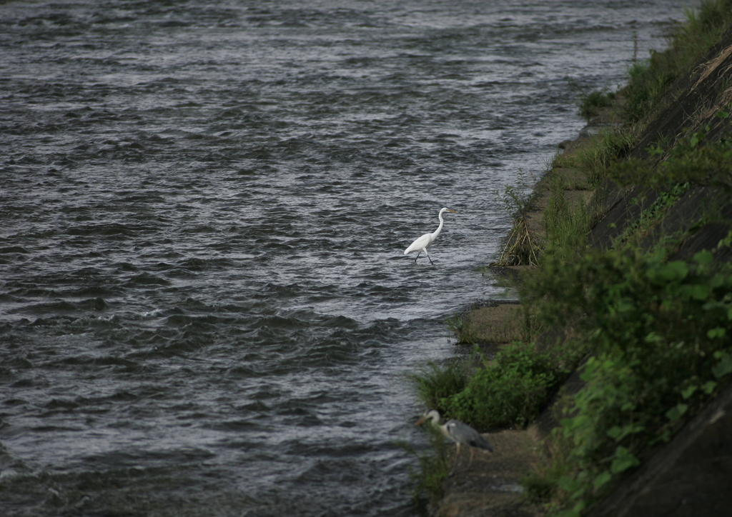 1.水から上がろっ・・・