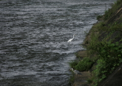 1.水から上がろっ・・・