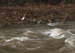こりゃダメだな・・・