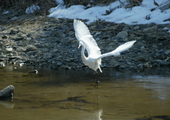 えっ？　前から撮ってよ・・・