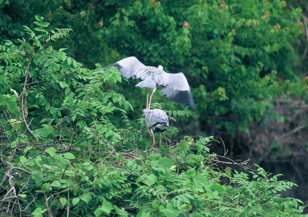 飛び乗りました。さぁ・・・