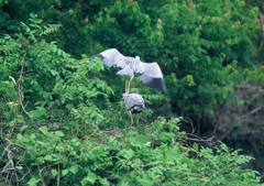 飛び乗りました。さぁ・・・