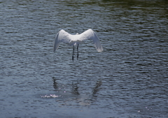 1.飛び立ちました・・・