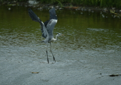 あっ！　人が来たね・・・