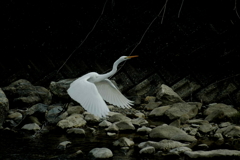 さぁ、帰ろう・・・