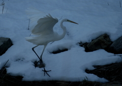 雪上でのダンス(^^♪