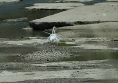 乱れてるね(^-^)・・・