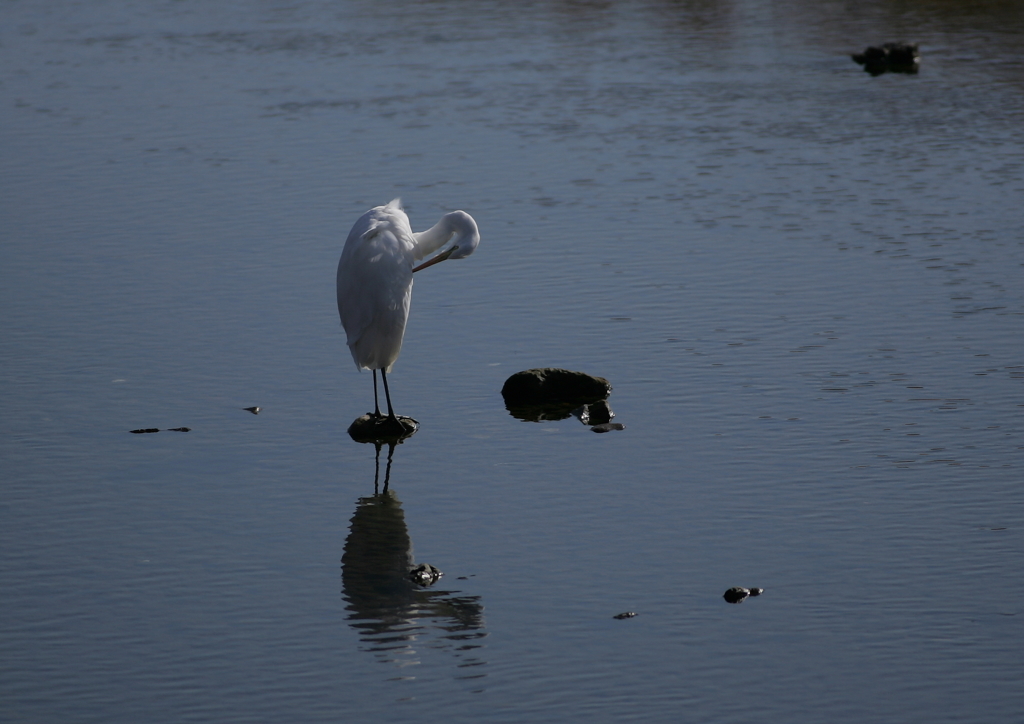 お手入れ中(^-^)・・・