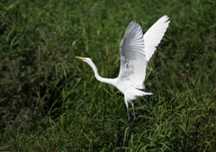 3.飛び立ちシーン②