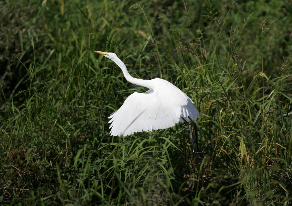 2.飛び立ちシーン①