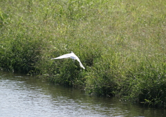 4.どこへ連れて行くの？③