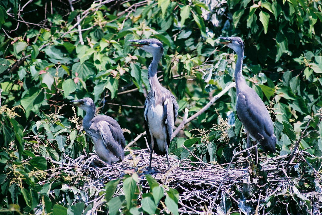 3人揃って何見てるの？