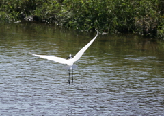 2.どこへ連れて行くの？