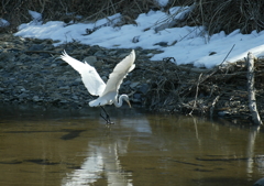独り舞台・・・