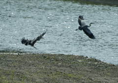 平和な風景・・・