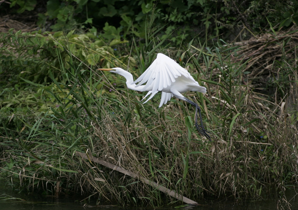 5.飛び立つ・・・④