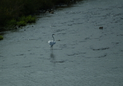 1.さて、どうする・・・