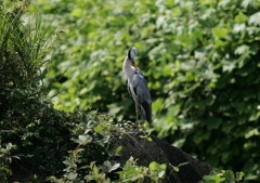 自由自在・・・