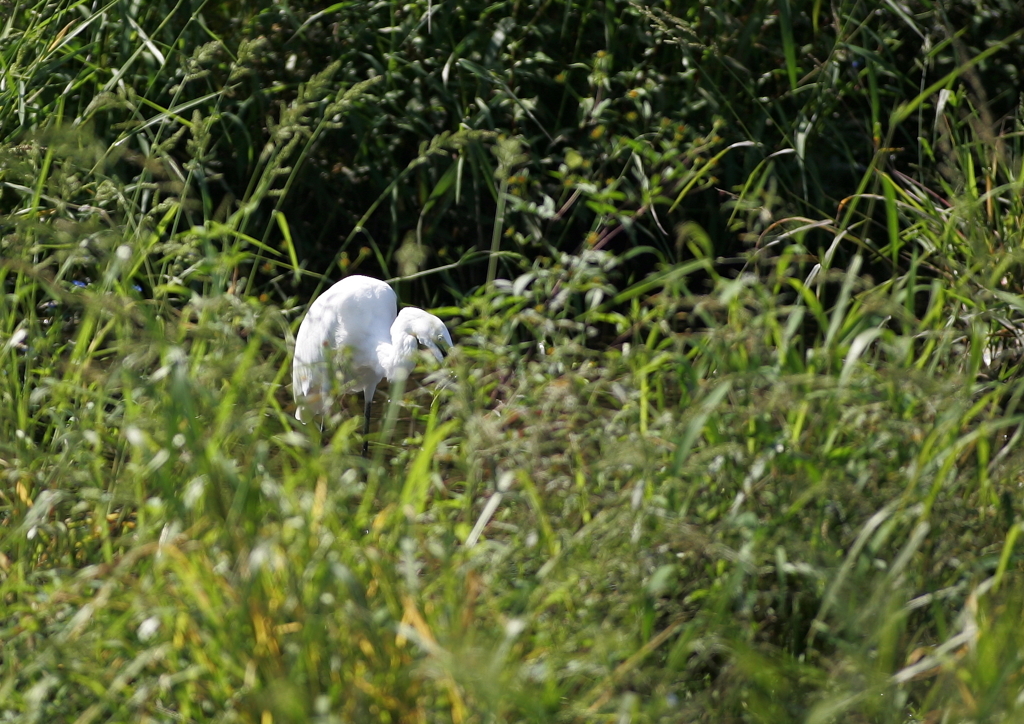 9.ここで？・・・