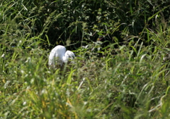 9.ここで？・・・