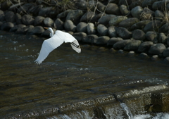 上流に行ってみよう・・・