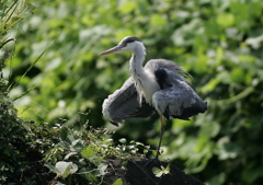 軽めのブルブル・・・⑦
