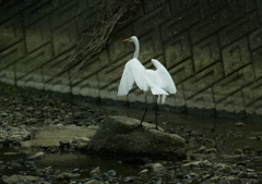 ステージ・・・②