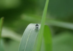 なかよしこよし(^-^)③