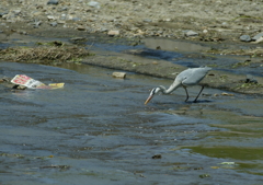 川を汚さないで・・・