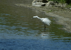 ブルブルッ・・・⑨