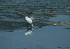 3.チャポ～ン・・・