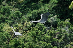 下に何があるの？