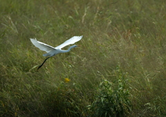 2.華麗なる瞬間・・・②