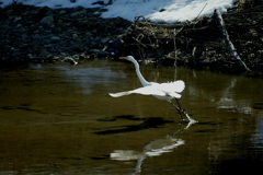 ポイント移動なの？