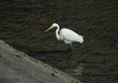 何か考えてる？・・・