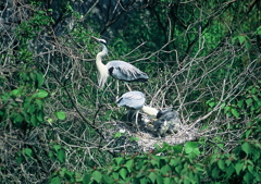 2.さてと・・・