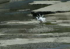 ブルブルッ・・・⑤