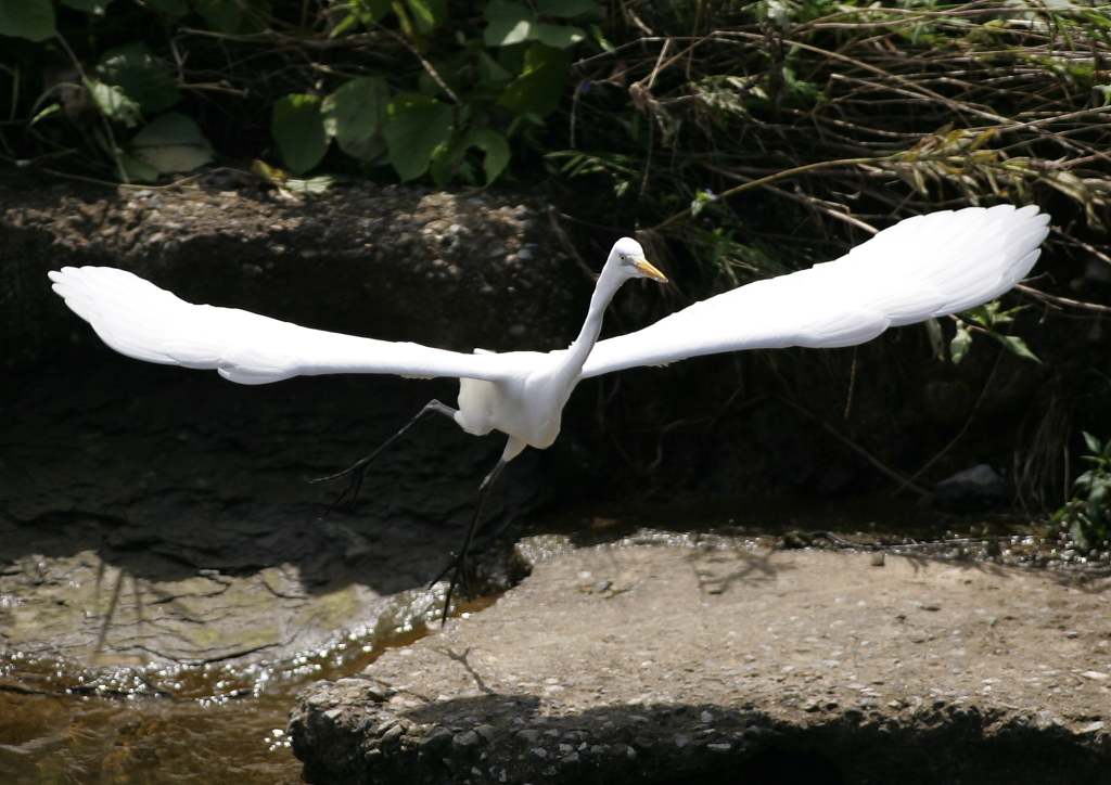 2.飛び立つ・・・
