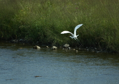 1.何処へ・・・